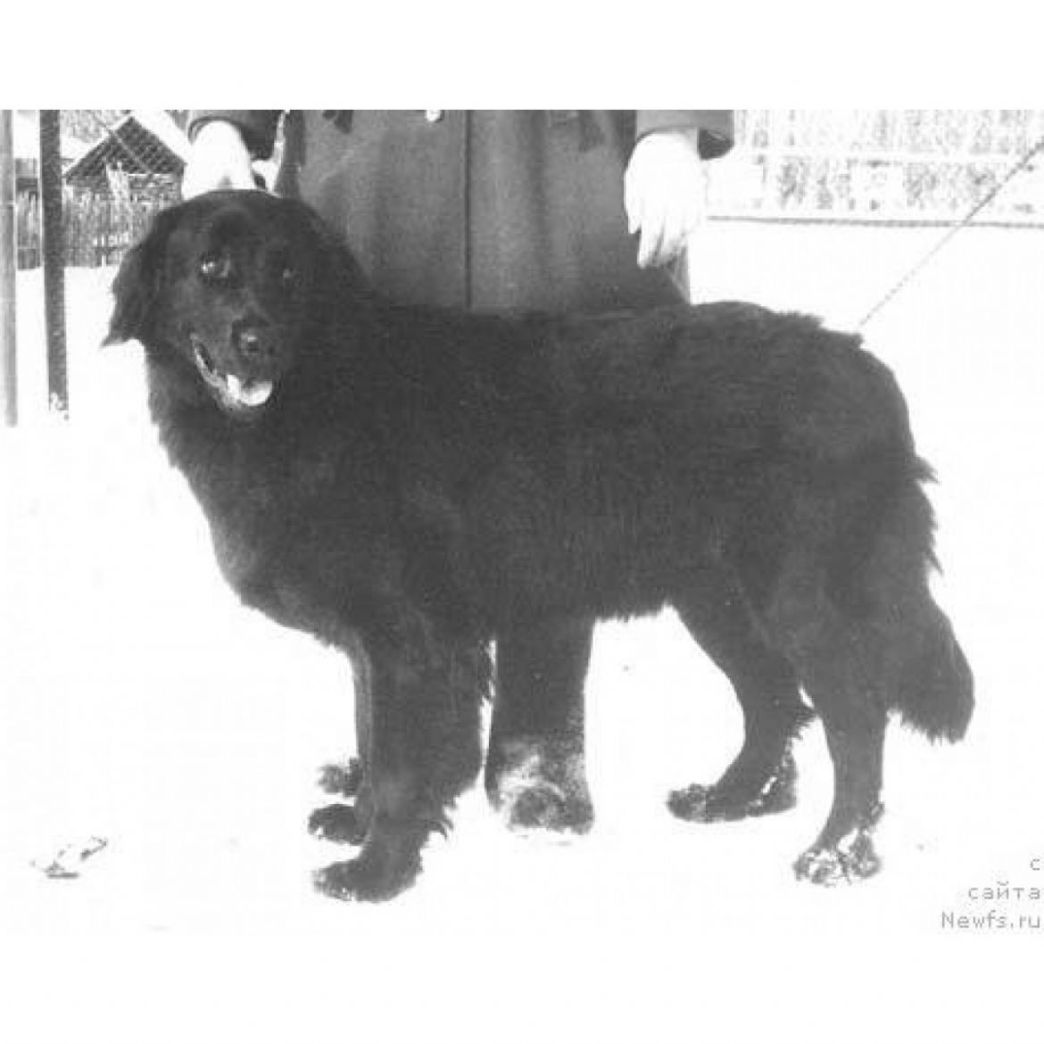 T Scharlotta Mollord of Lajf Sejver (18-12-1989)